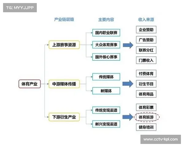 体育数据产业链协同效应显现，上下游企业共建价值创造网络